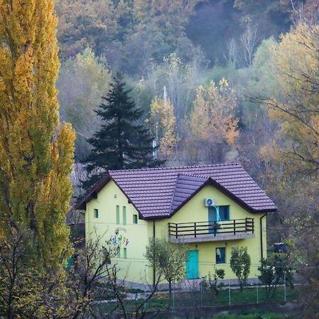 Pensiunea Happy Schitu Topolnitei Экстерьер фото