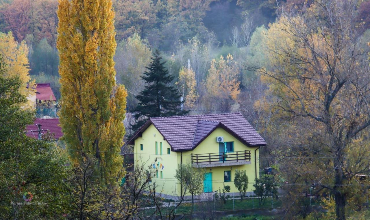 Pensiunea Happy Schitu Topolnitei Экстерьер фото